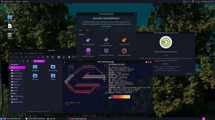 Screenshot at 2021-08-10 07-54-31