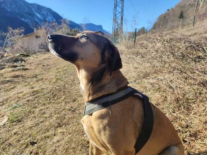 IMG_20220130_135707 (2)