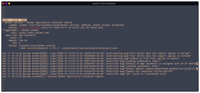 Screenshot_systemctl _home_tiagaoalb_1