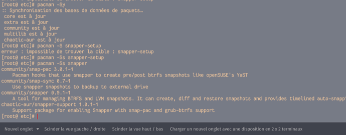 Screenshot_- : bash_1