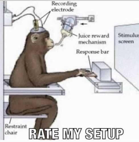 meme
