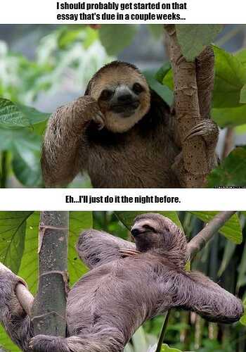 I-should-probably-get-strted-Sloth-Memes