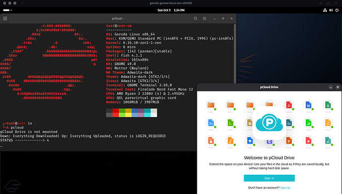 vm_garuda-gnome-linux-zen-250308_updated