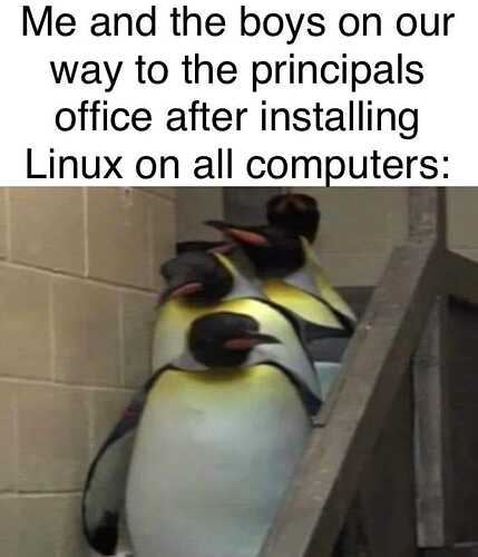 319276035_596149255847592_5445031150420346282_n