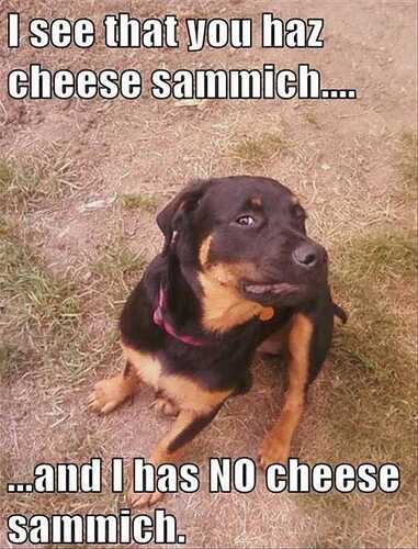 sammich