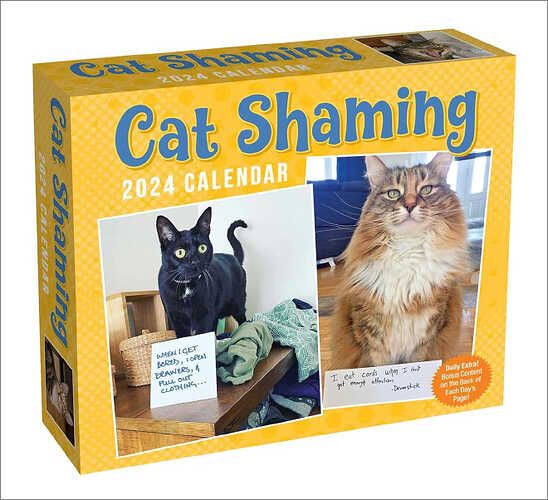 cat-shaming24