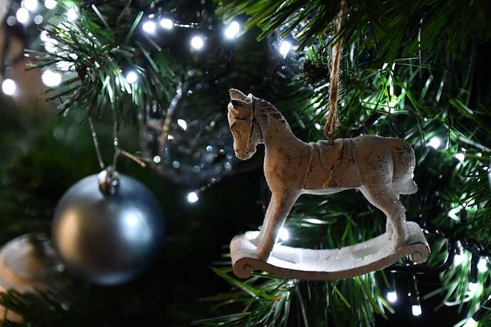 christmas-4718303_1920