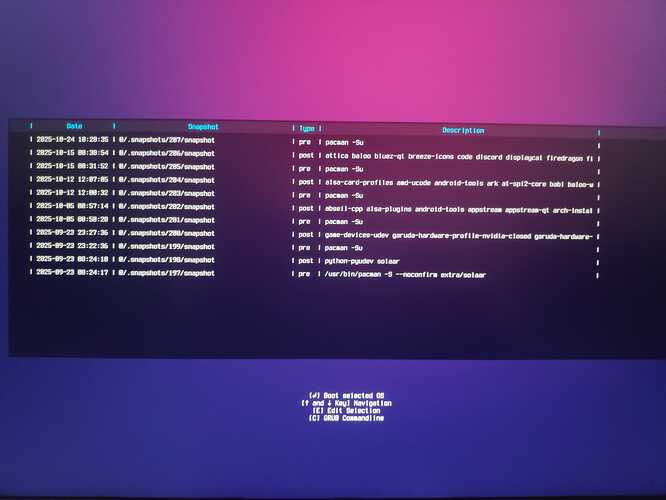 IMG_20251026_145507_1