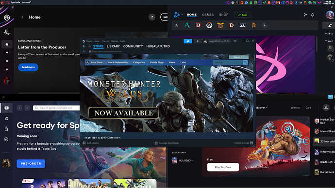 Steam, EA Desktop, Ubisoft Connect, Battle.net, Epic Games Launcher