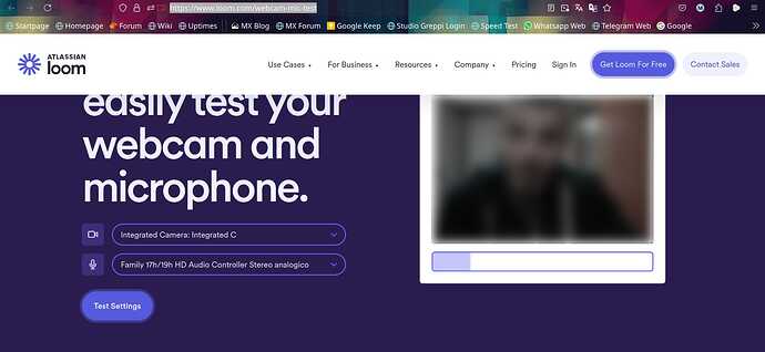 Test.web_mic