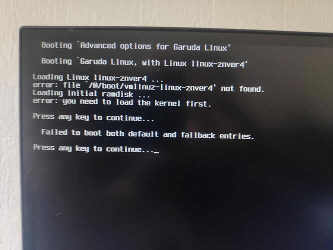 IMG_20251026_110227_1