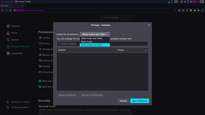 autoplay