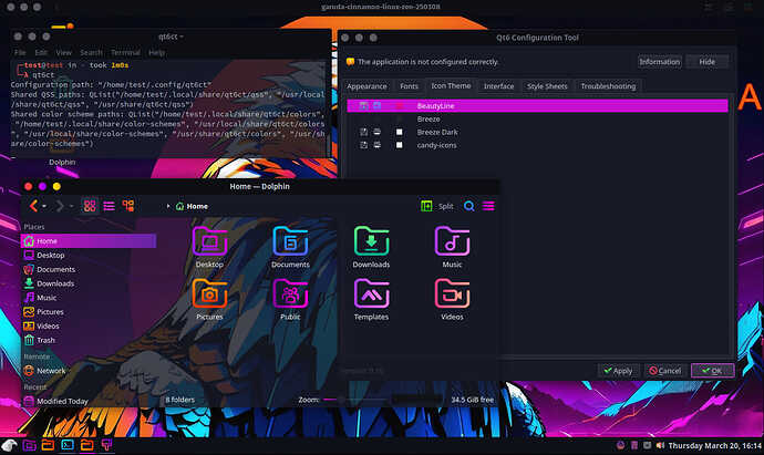 vm_dolphin_2