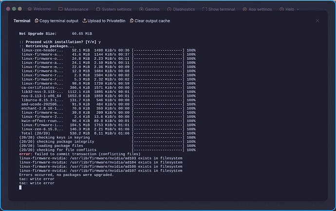 Screenshot garuda update broken 062225