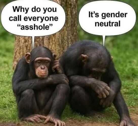 image-2025-10-13-174447