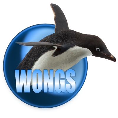 wongs-sgs