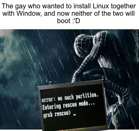 dualboot