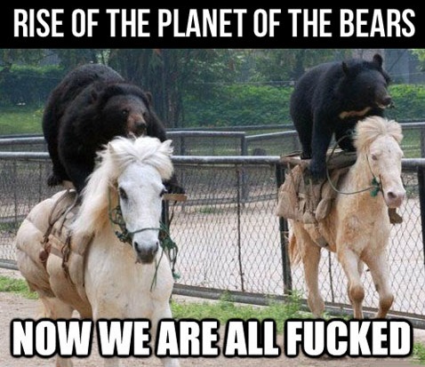 funny-bears-riding-horses-circus