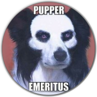 pupperemeritus-02-sgs
