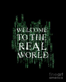 matrix-welcome-to-the-real-world-frannigan-smallest