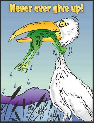 5c3ced51ef44044fc491573896b9c92b