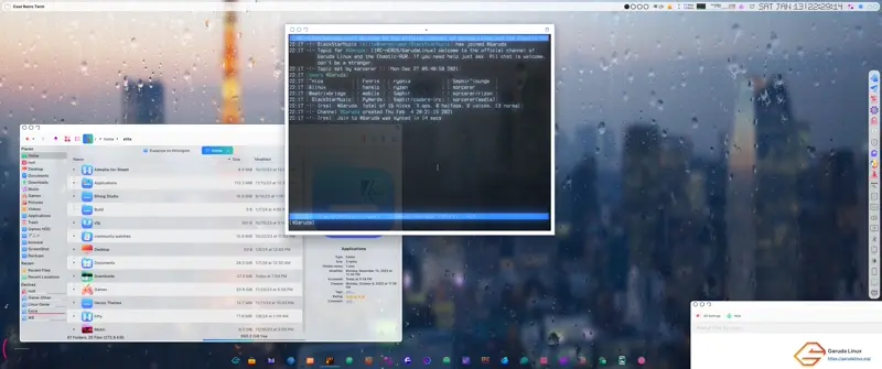 Video_2024-01-13_22-29-14-ezgif.com-video-to-webp-converter