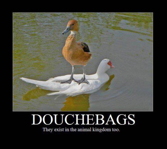 demotivating-pictures-demotivational-posters-funny-douchbag