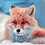 BoxFoxCode