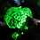scalarwaves scalarwaves